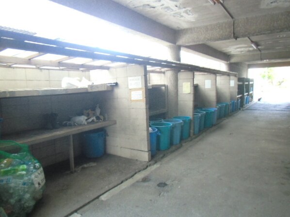 リバーパーク桜木の物件内観写真